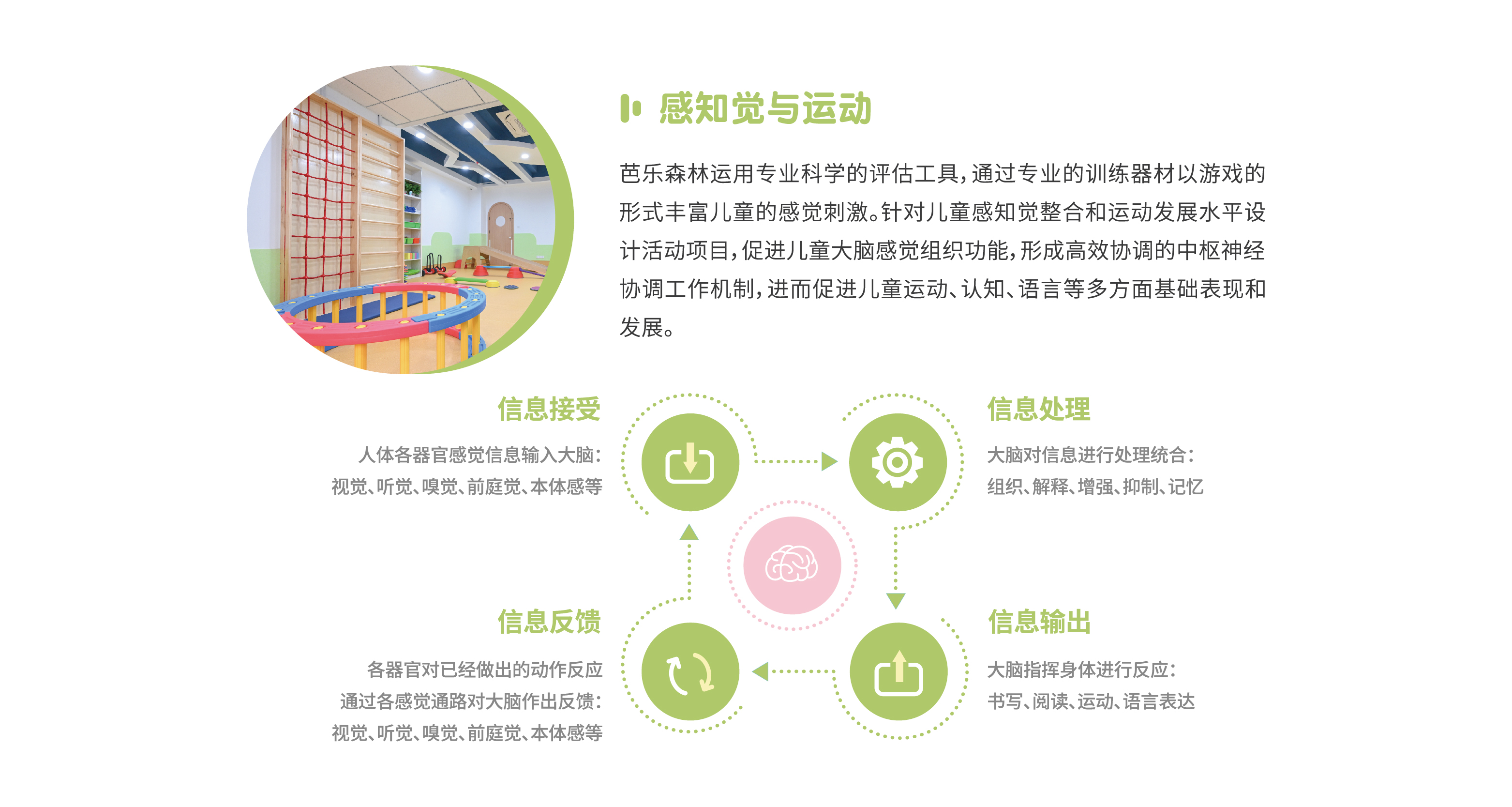 感知觉与运动发展